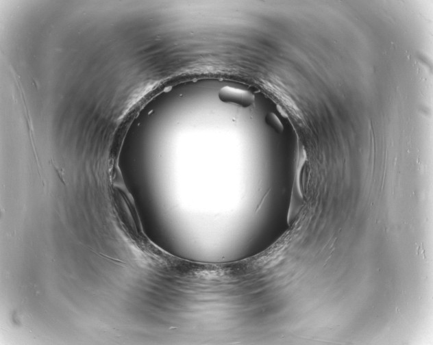 X0000093720160200710301031