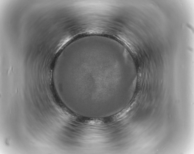 X0000093720168200710301032