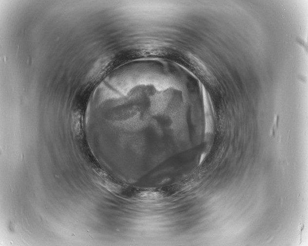 X0000093720169200710301032