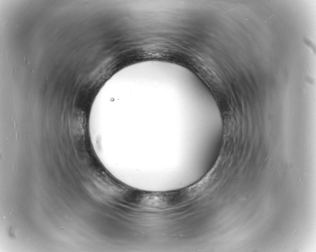 X0000093720174200710301032
