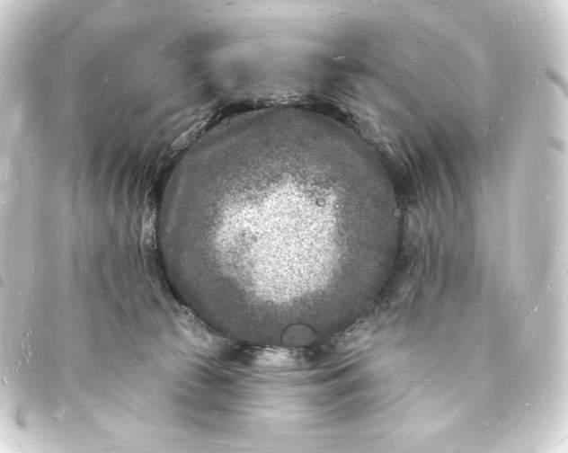 X0000093720177200710301032