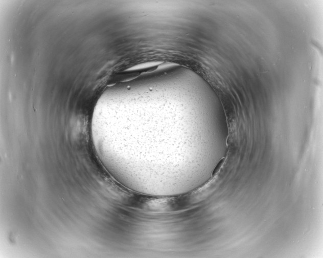 X0000093720178200710301032