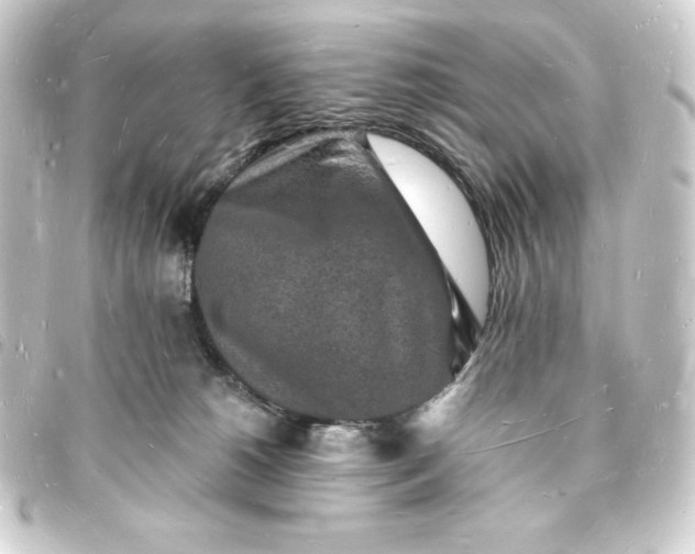 X0000093720180200710301032