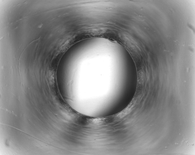 X0000093720184200710301032