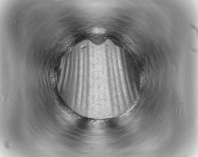X0000093720186200710301032