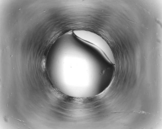 X0000093720190200710301032