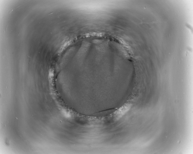 X0000093720192200710301032