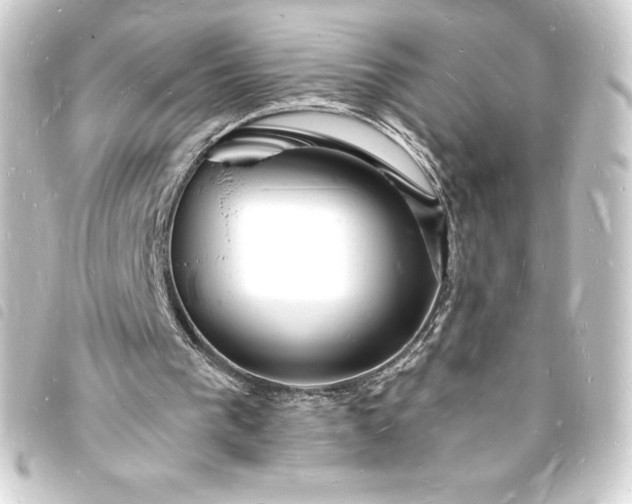 X0000093720193200710301031