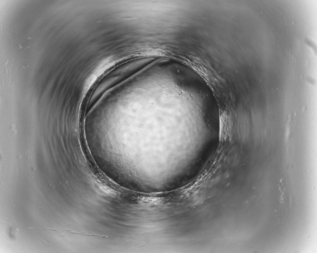 X0000093720195200710301031