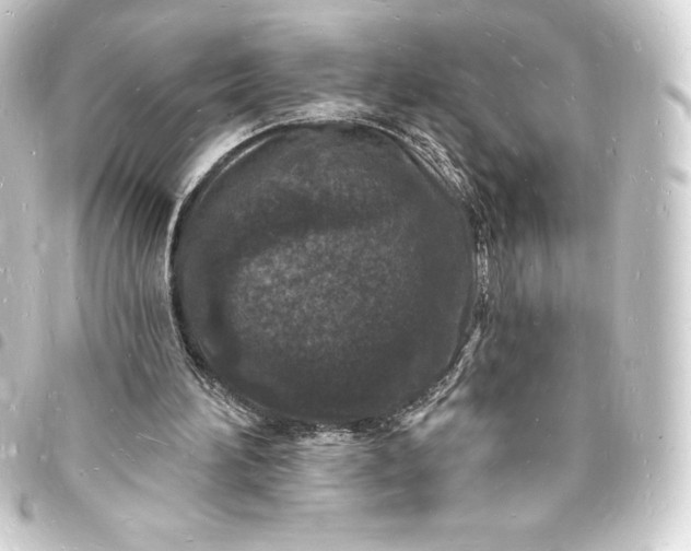 X0000093720196200710301031