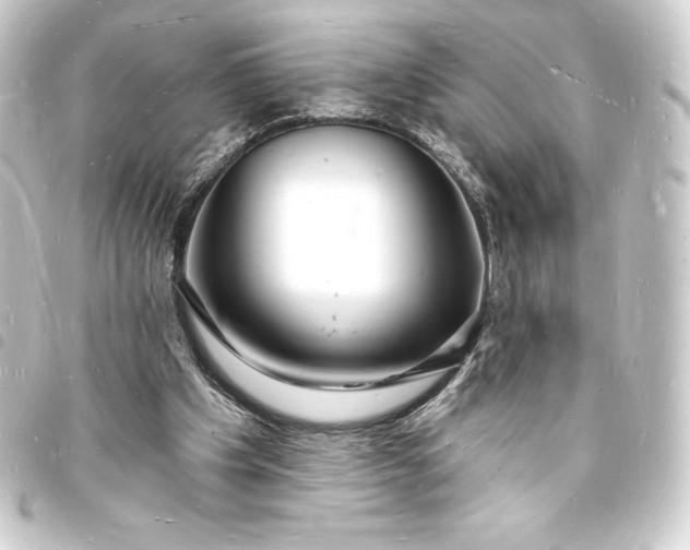 X0000093720201200710301031