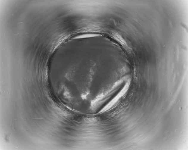 X0000093720202200710301031