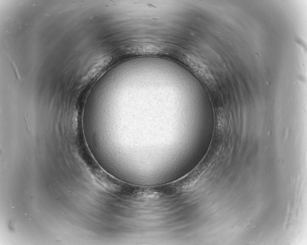 X0000093720206200710301031
