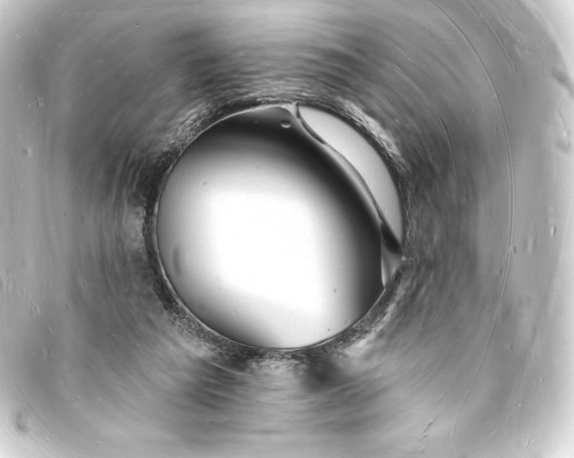 X0000093720209200710301031