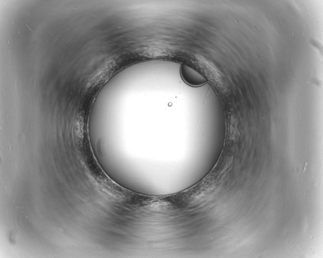 X0000093720210200710301031