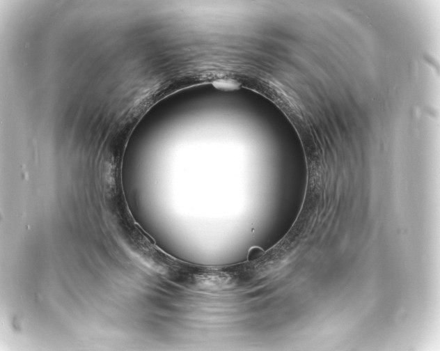 X0000093720215200710301031
