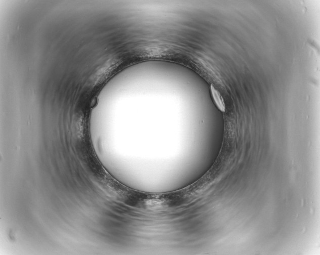 X0000093720216200710301031