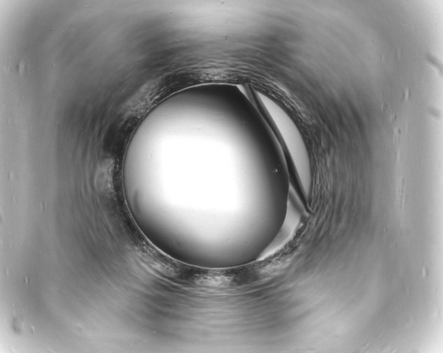 X0000093720217200710301031