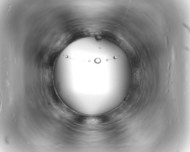 X0000093720218200710301031