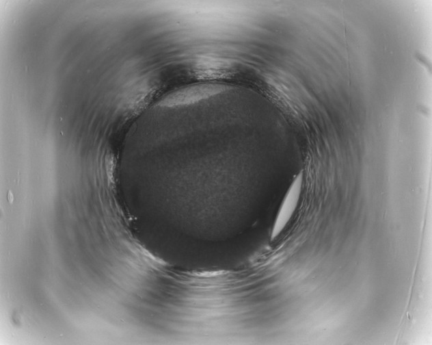 X0000093720219200710301031