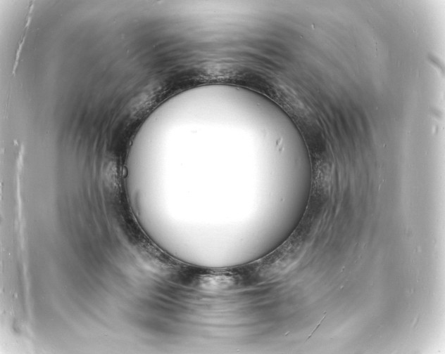 X0000093720220200710301031