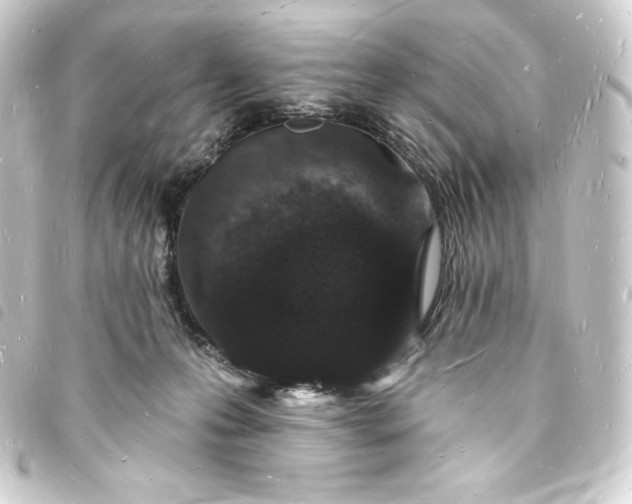 X0000093720223200710301031