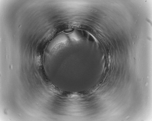 X0000093720224200710301031