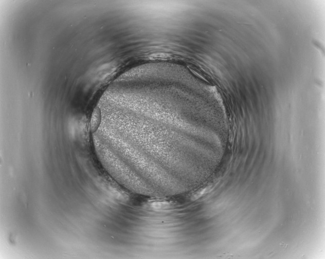 X0000093720228200710301031