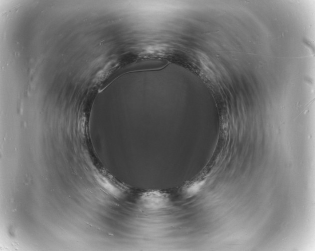X0000093720231200710301031