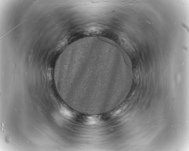 X0000093720232200710301031