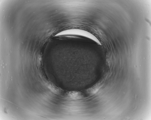 X0000093720235200710301031