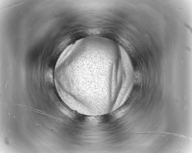 X0000093720238200710301031