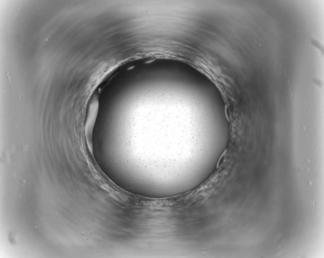 X0000093720241200710301030