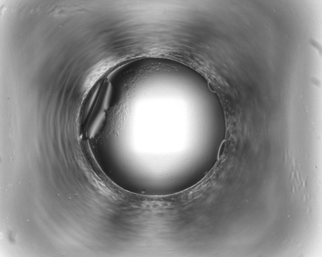 X0000093720242200710301030