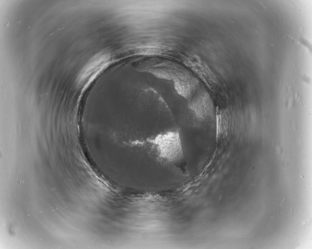 X0000093720243200710301030