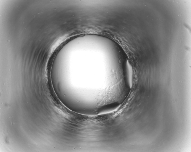 X0000093720246200710301030
