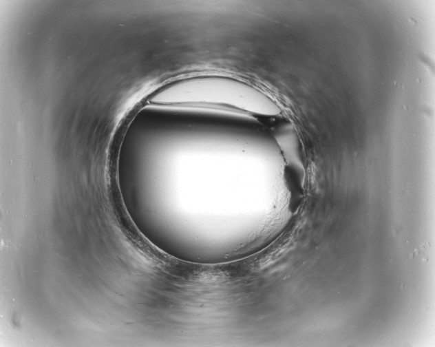 X0000093720248200710301030
