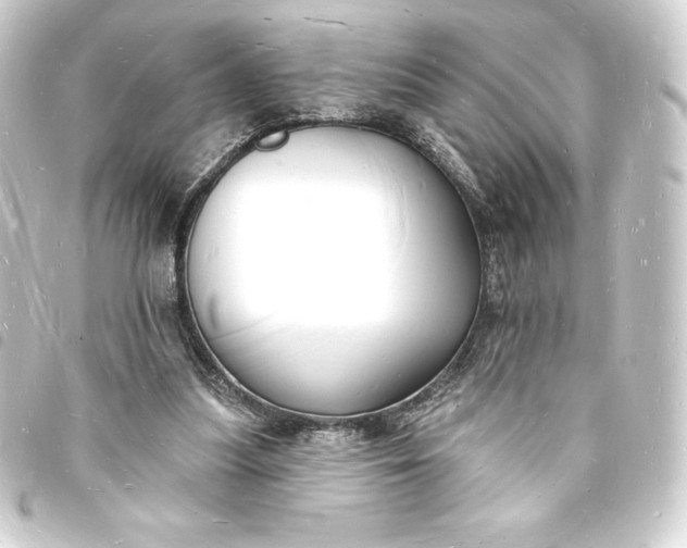 X0000093720251200710301030