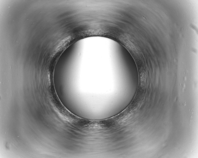 X0000093720254200710301030