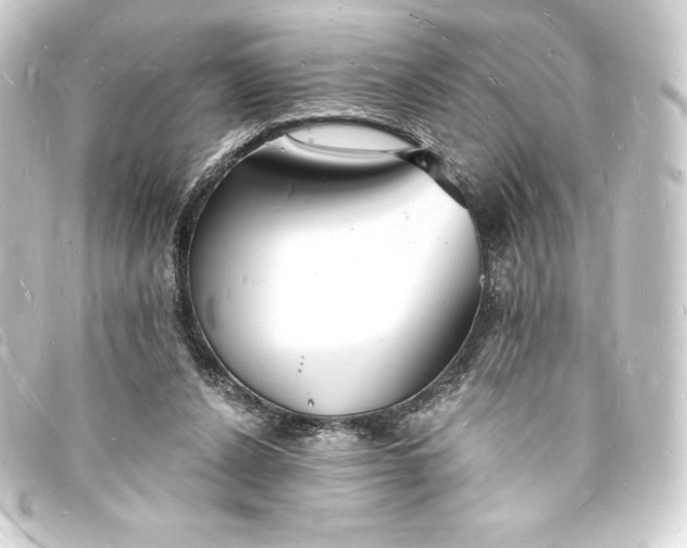X0000093720256200710301030