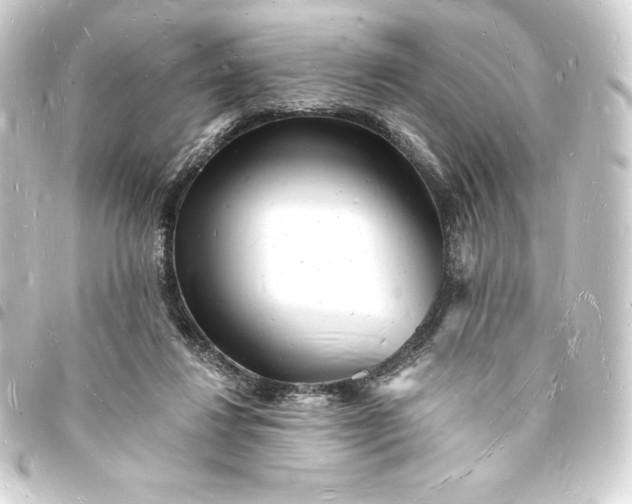 X0000093720260200710301030