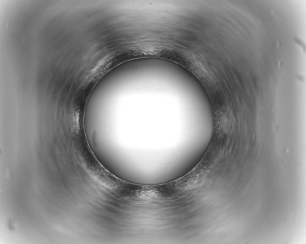 X0000093720262200710301030