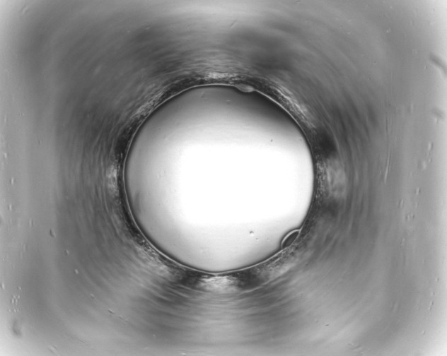 X0000093720269200710301031