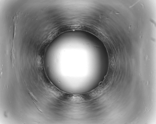 X0000093720270200710301031