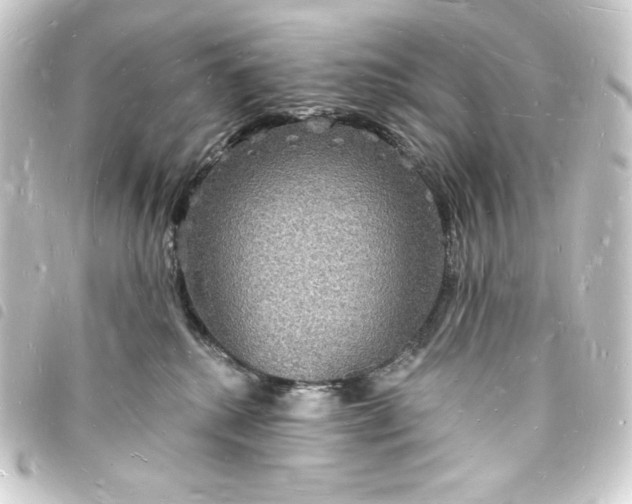 X0000093720280200710301031