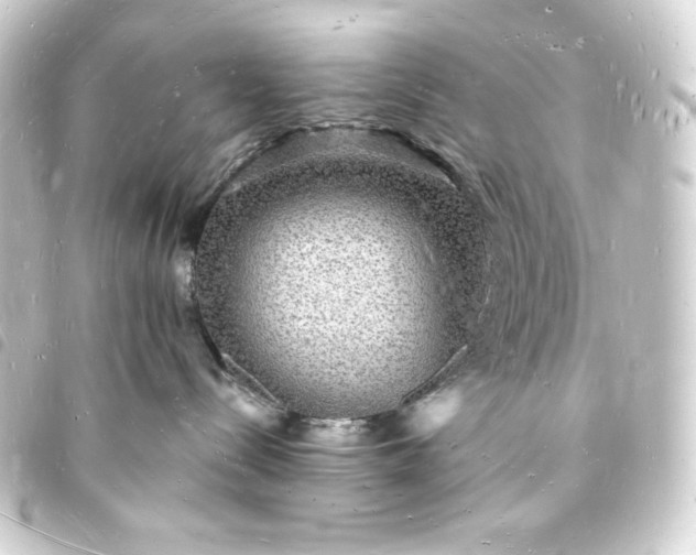 X0000093720288200710301031