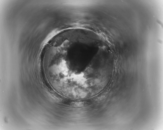 X0000093720295200710301030