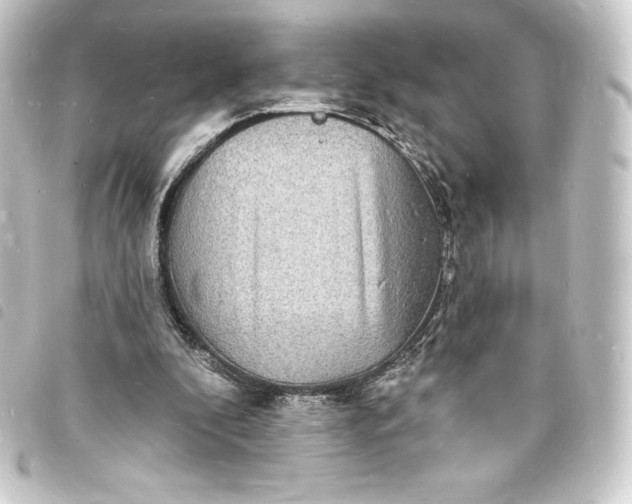X0000093720296200710301030