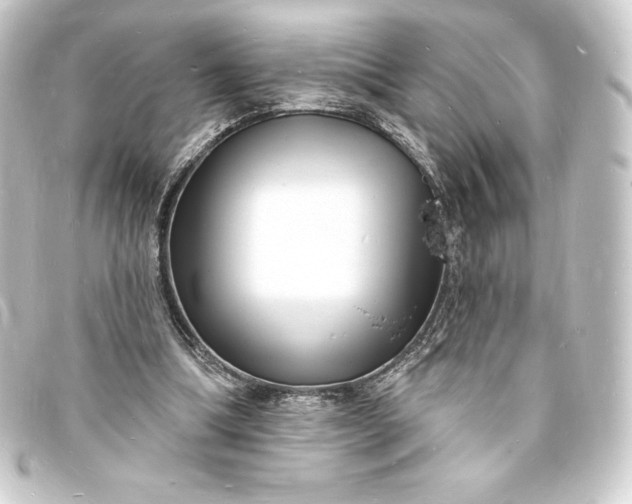 X0000093720298200710301030