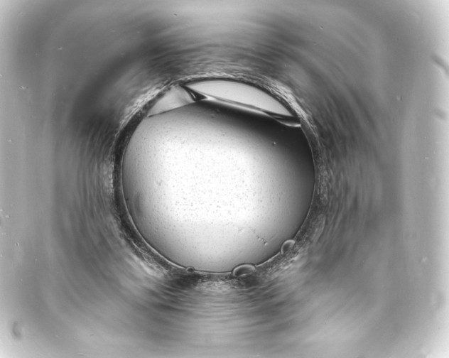 X0000093720299200710301030